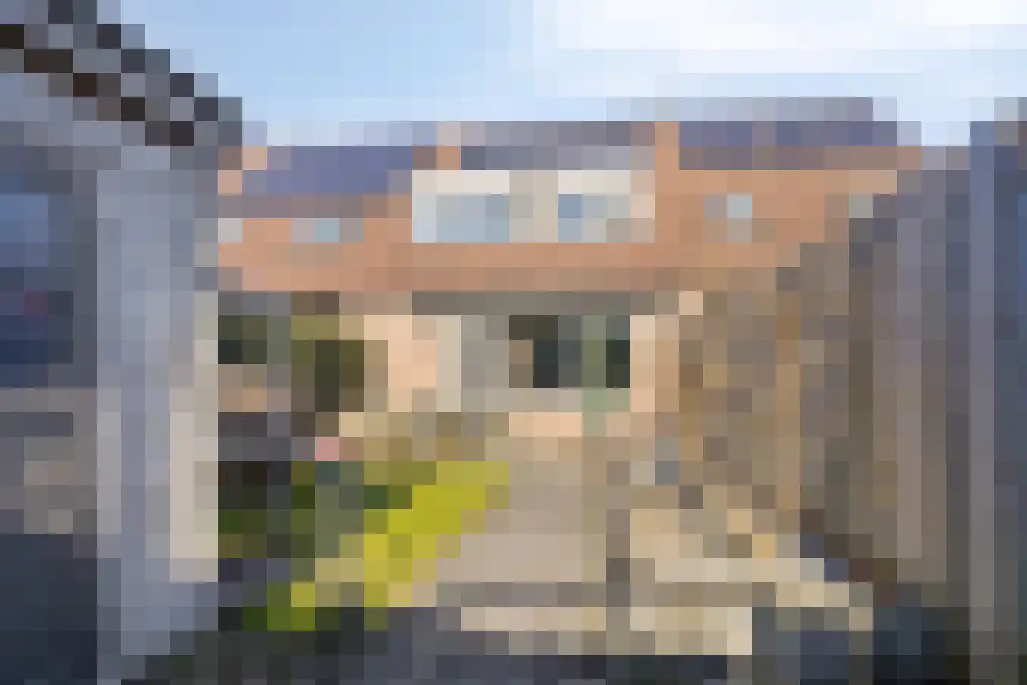 IJzerwerker 11 Sappemeer thumbnail 33