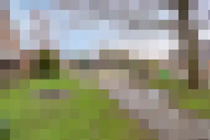 IJzerwerker 11 Sappemeer thumbnail 37