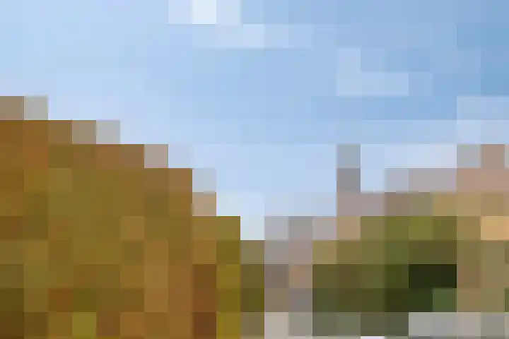 IJzerwerker 11 Sappemeer thumbnail 38