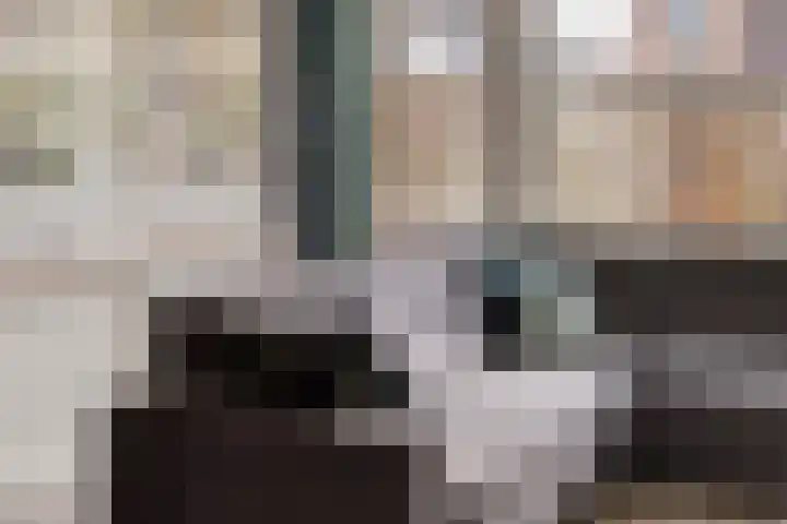 IJzerwerker 11 Sappemeer thumbnail 4