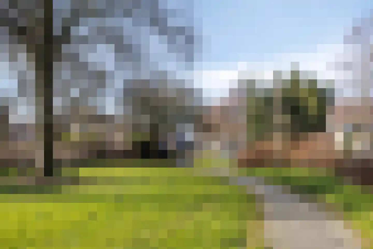 IJzerwerker 11 Sappemeer thumbnail 40