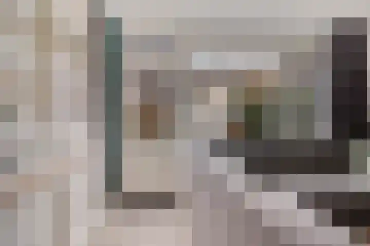 IJzerwerker 11 Sappemeer thumbnail 5