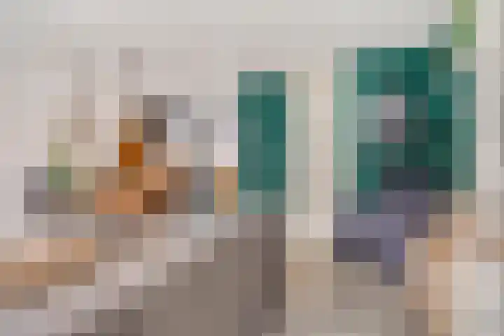 IJzerwerker 11 Sappemeer thumbnail 7
