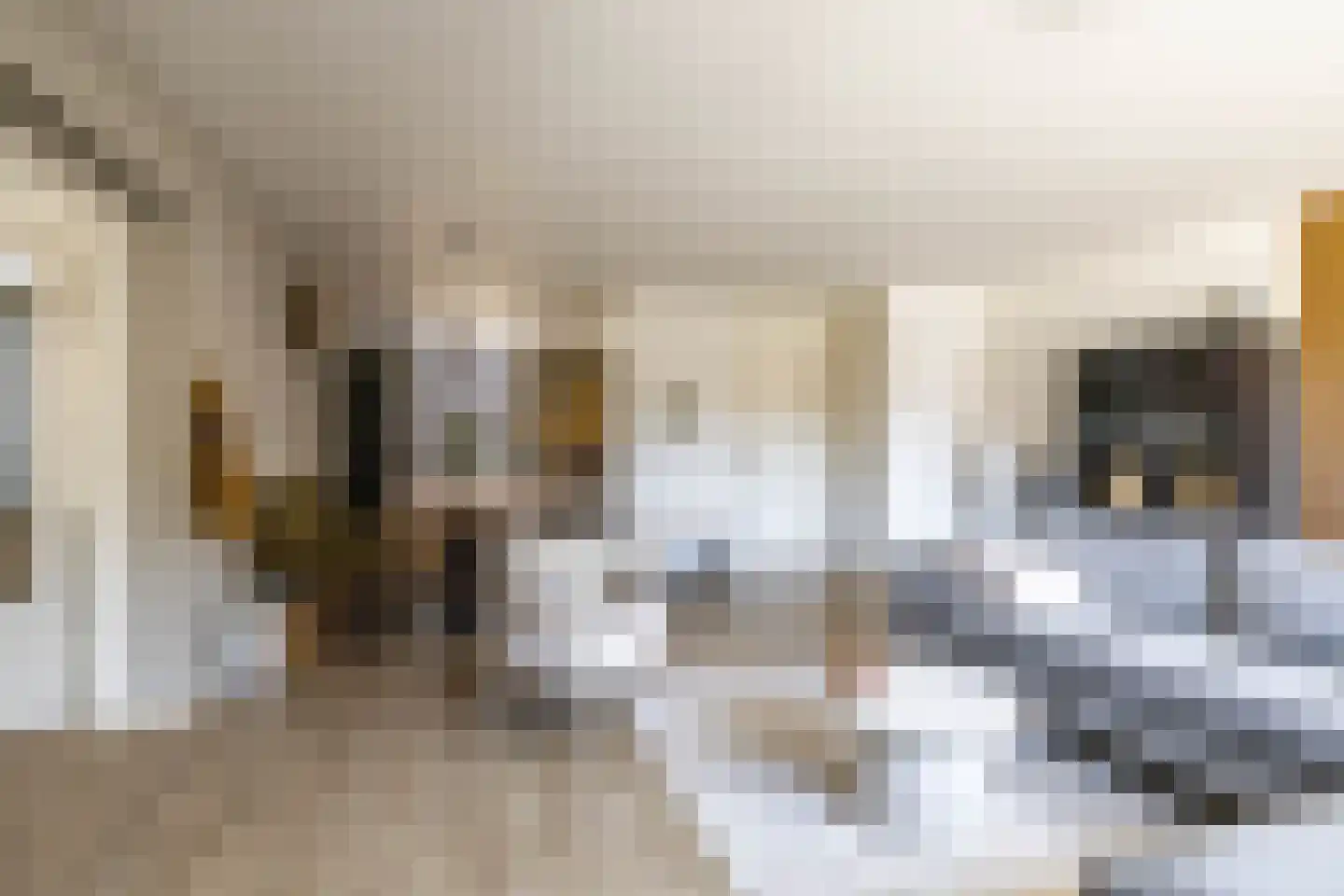 IJzerwerker 22 Sappemeer thumbnail 11