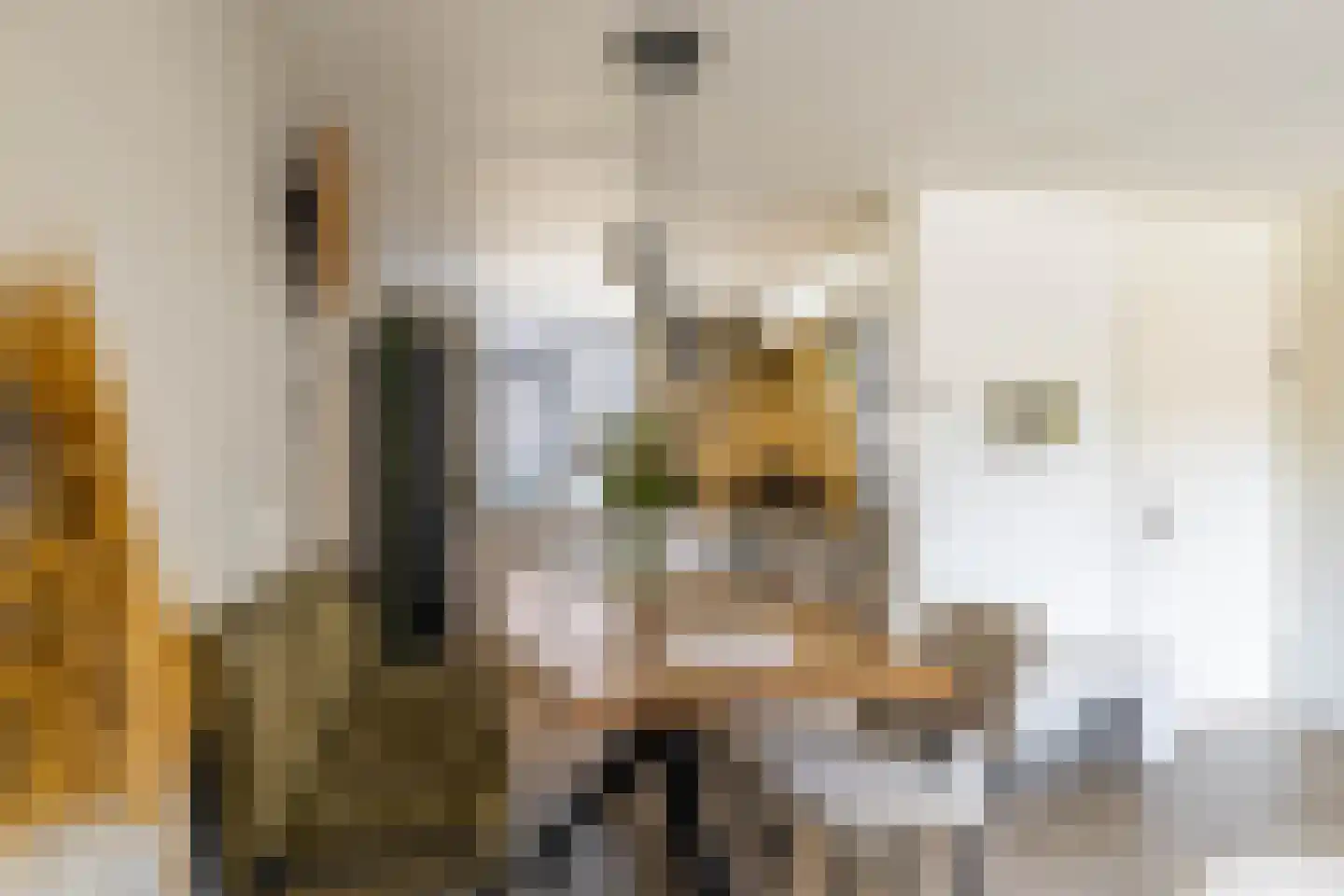 IJzerwerker 22 Sappemeer thumbnail 12