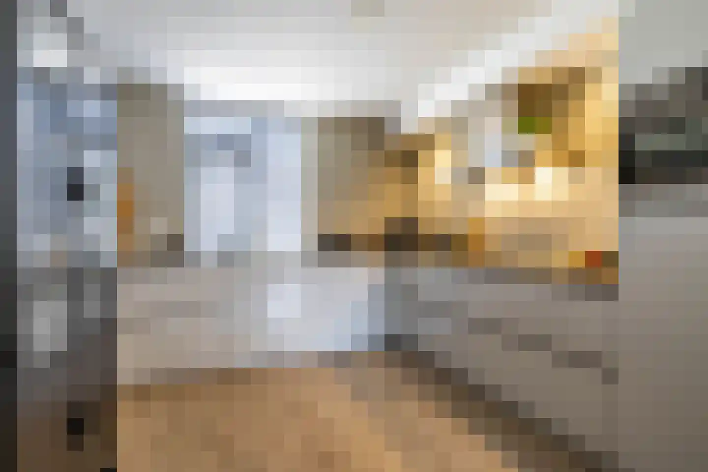IJzerwerker 22 Sappemeer thumbnail 13