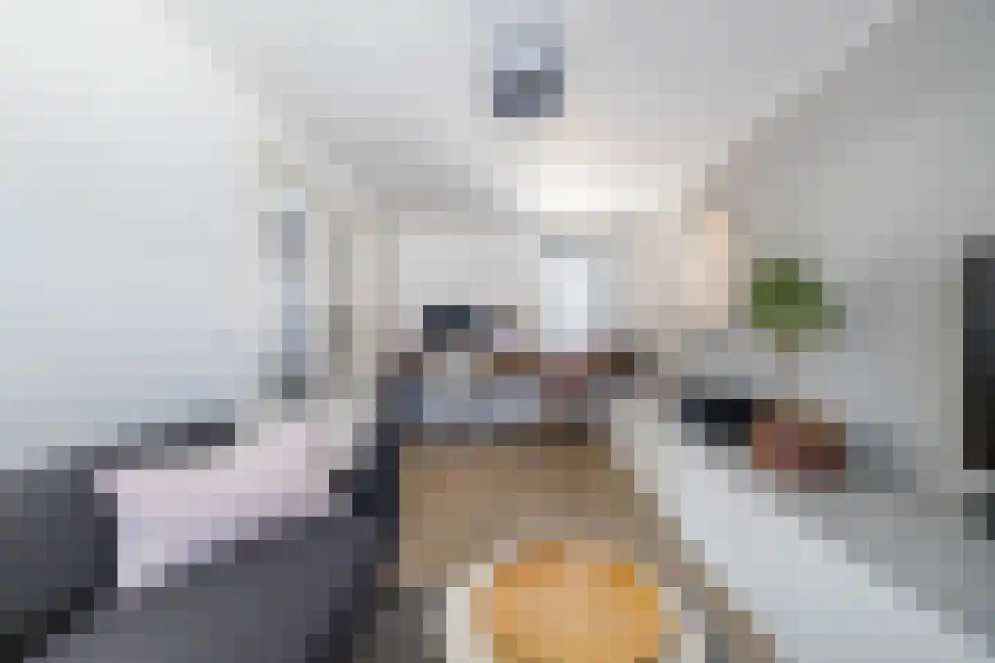 IJzerwerker 22 Sappemeer thumbnail 19