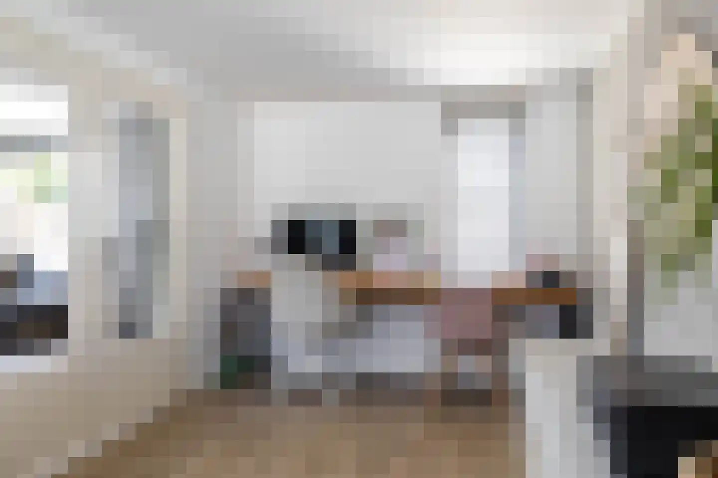 IJzerwerker 22 Sappemeer thumbnail 20