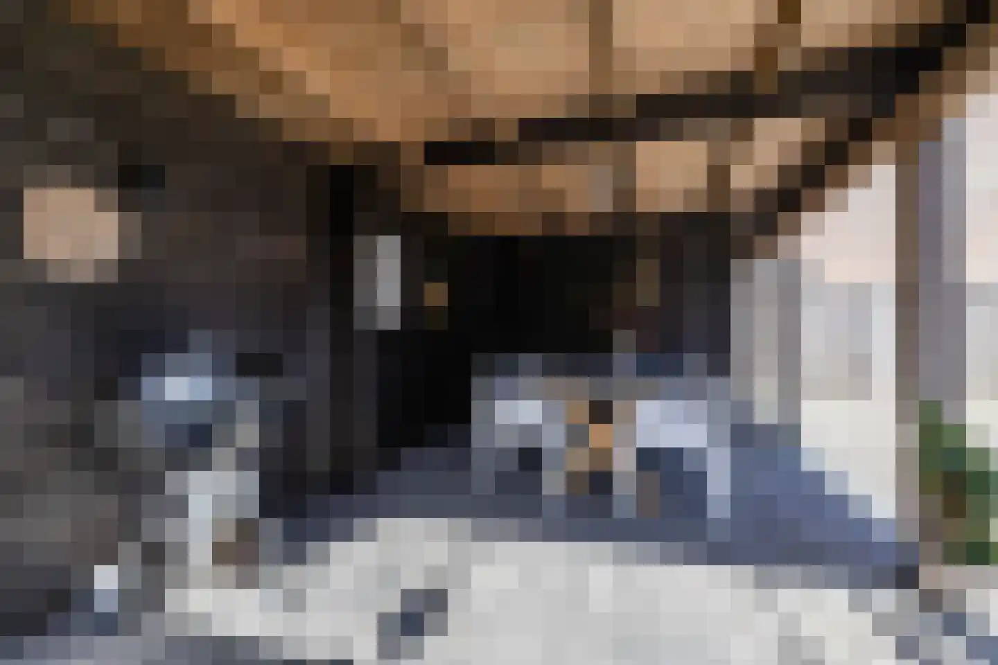 IJzerwerker 22 Sappemeer thumbnail 24