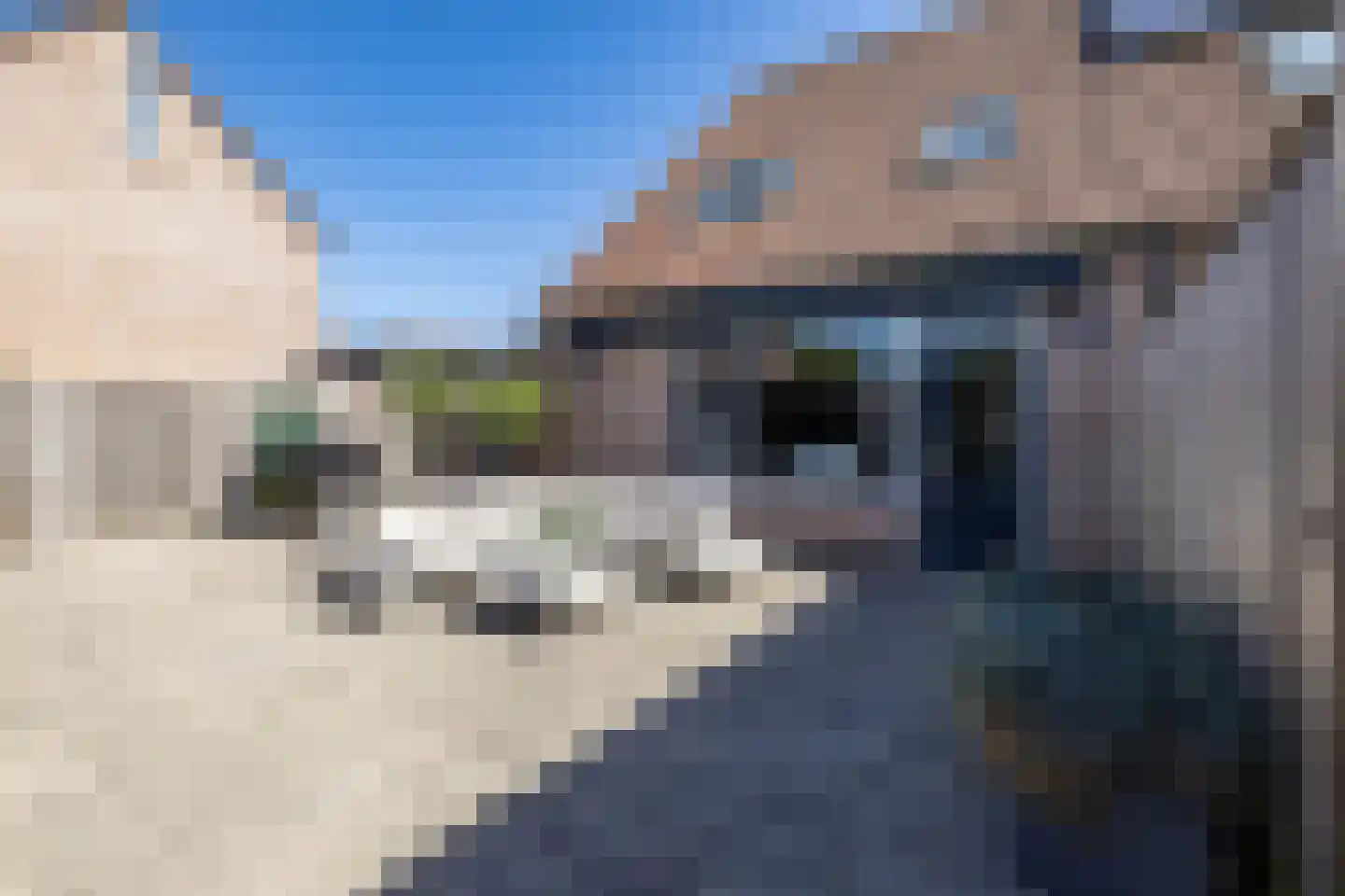 IJzerwerker 22 Sappemeer thumbnail 26