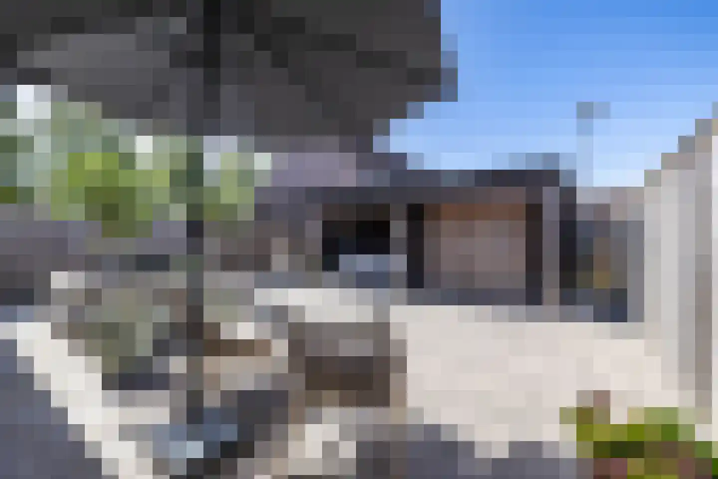 IJzerwerker 22 Sappemeer thumbnail 29