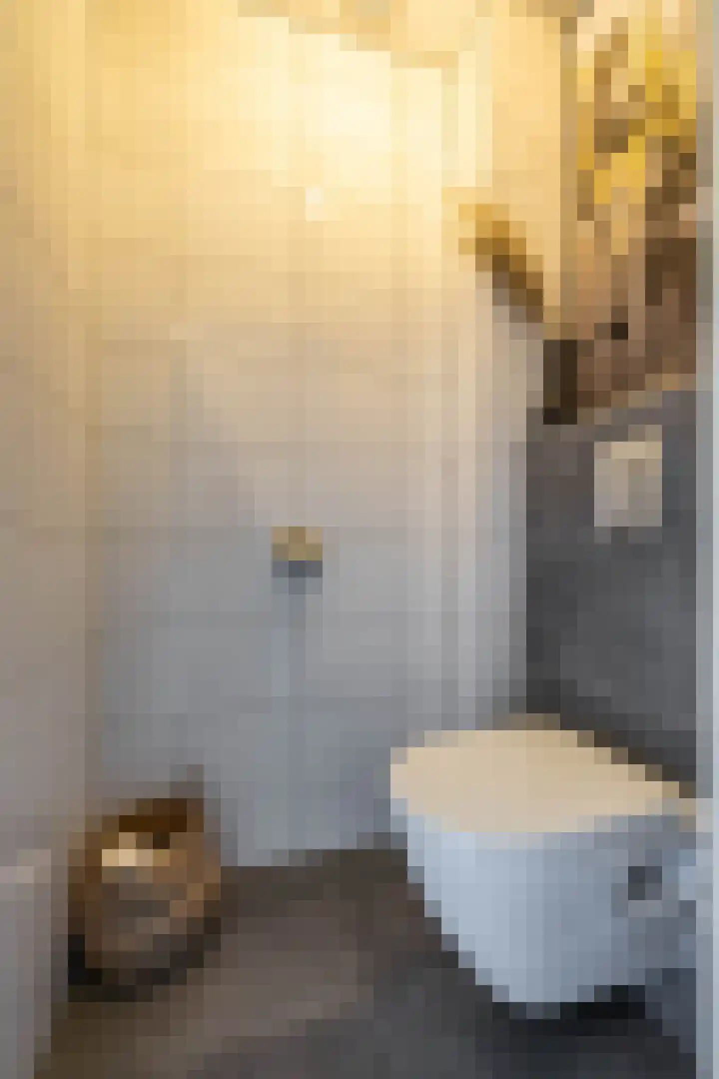 IJzerwerker 22 Sappemeer thumbnail 35