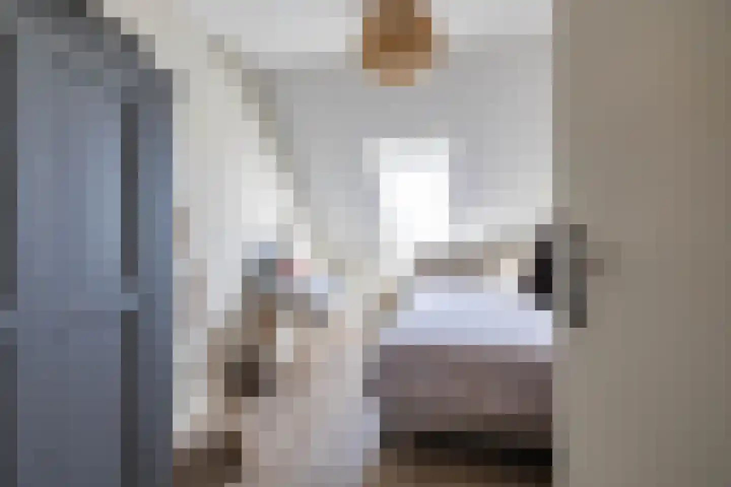 IJzerwerker 22 Sappemeer thumbnail 38