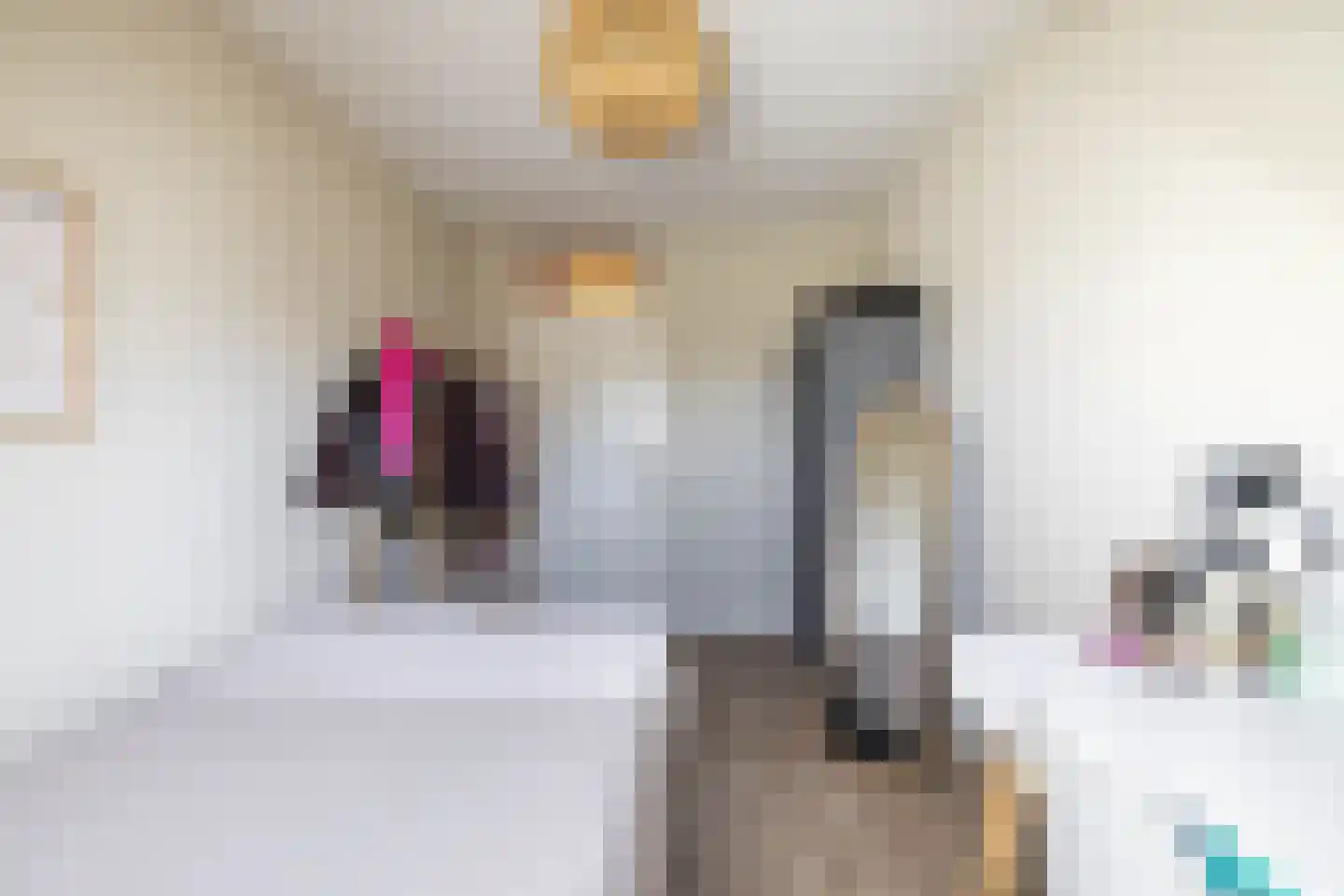 IJzerwerker 22 Sappemeer thumbnail 39