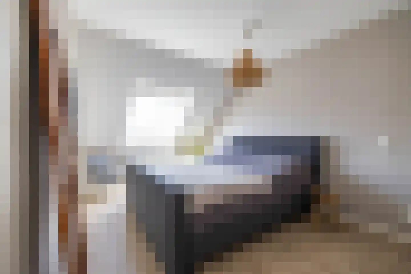 IJzerwerker 22 Sappemeer thumbnail 40