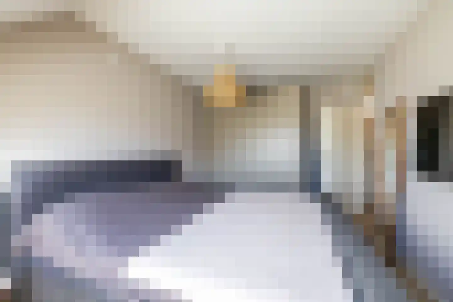 IJzerwerker 22 Sappemeer thumbnail 41