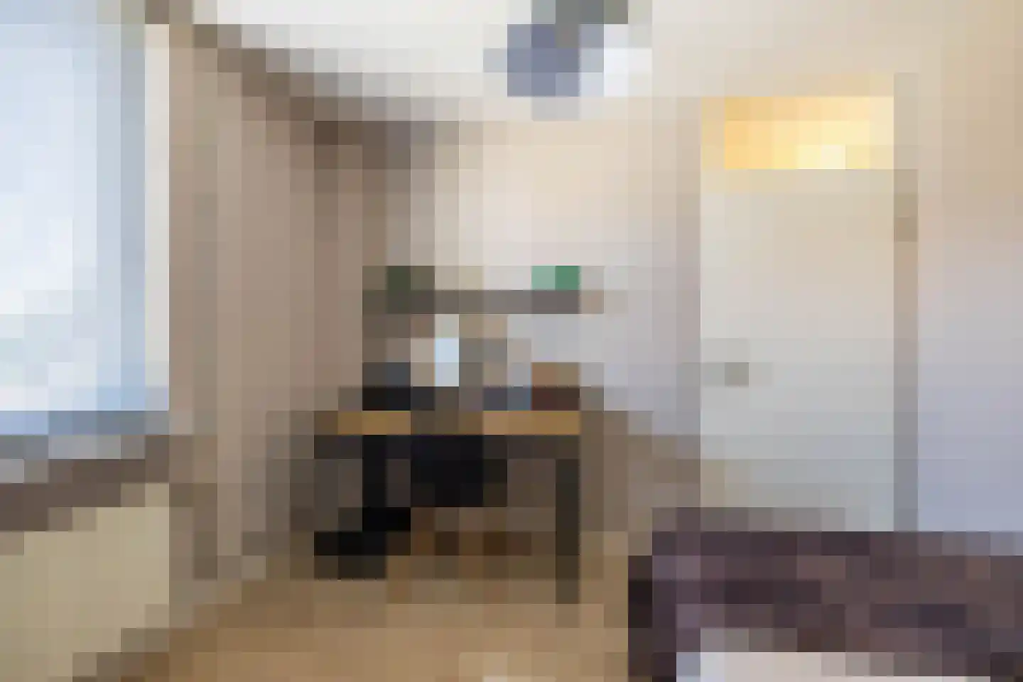 IJzerwerker 22 Sappemeer thumbnail 43