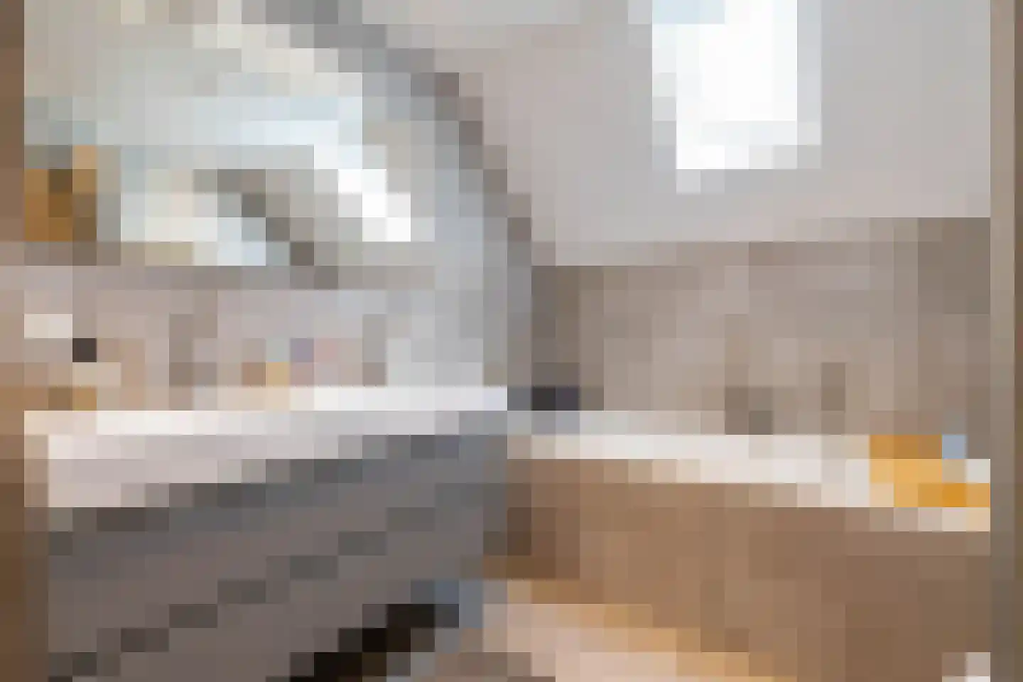 IJzerwerker 22 Sappemeer thumbnail 45