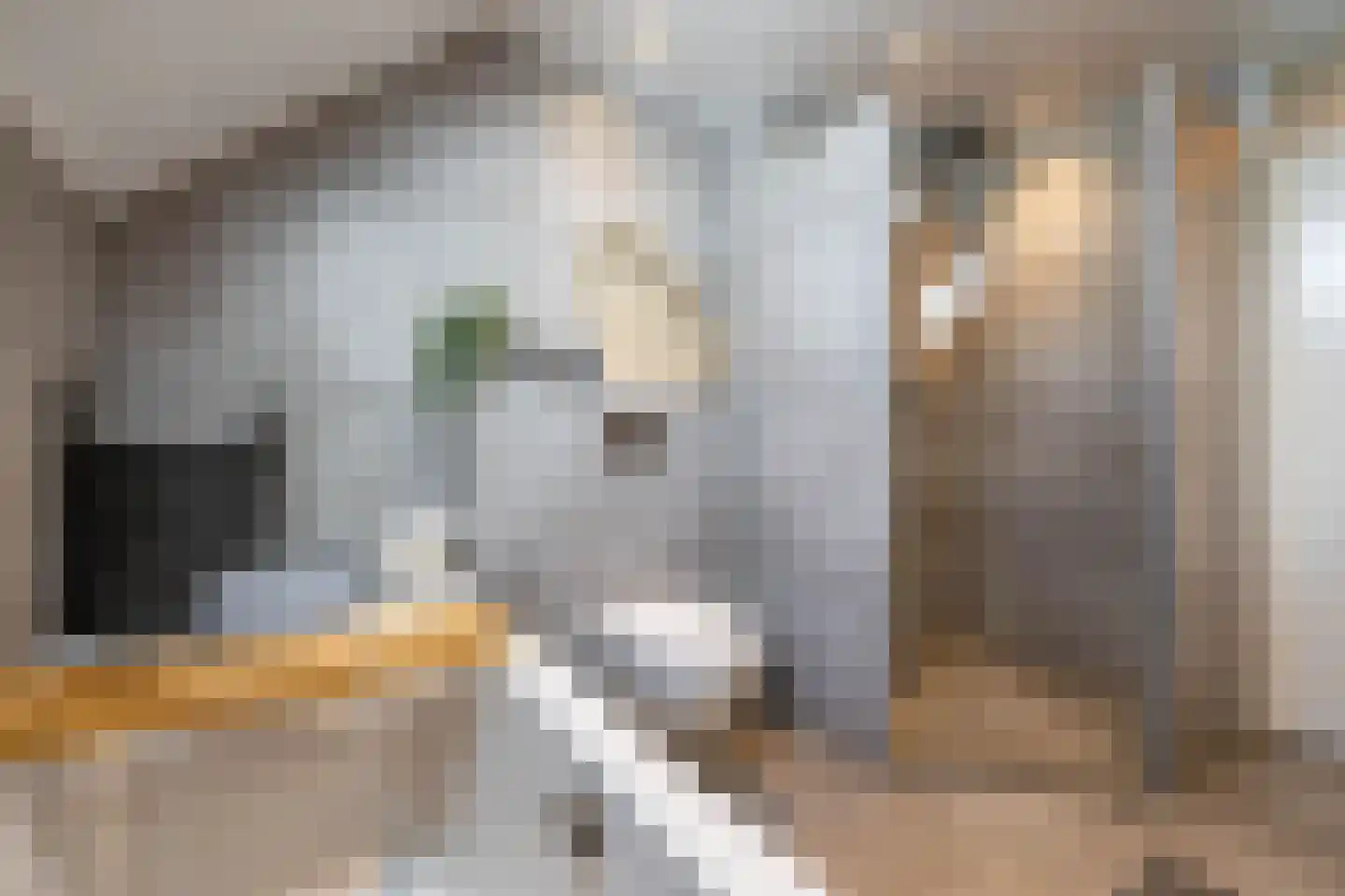 IJzerwerker 22 Sappemeer thumbnail 46