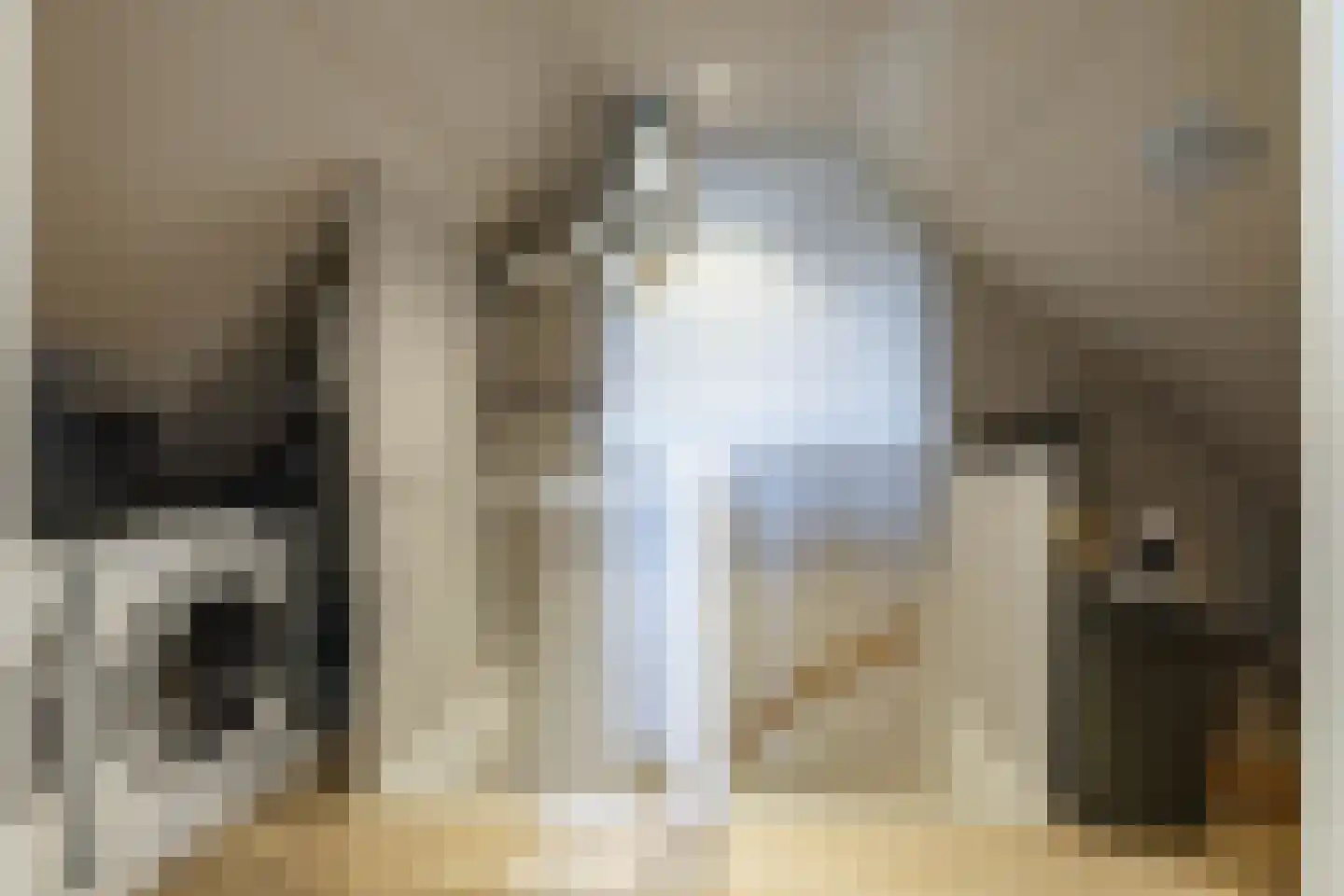 IJzerwerker 22 Sappemeer thumbnail 50