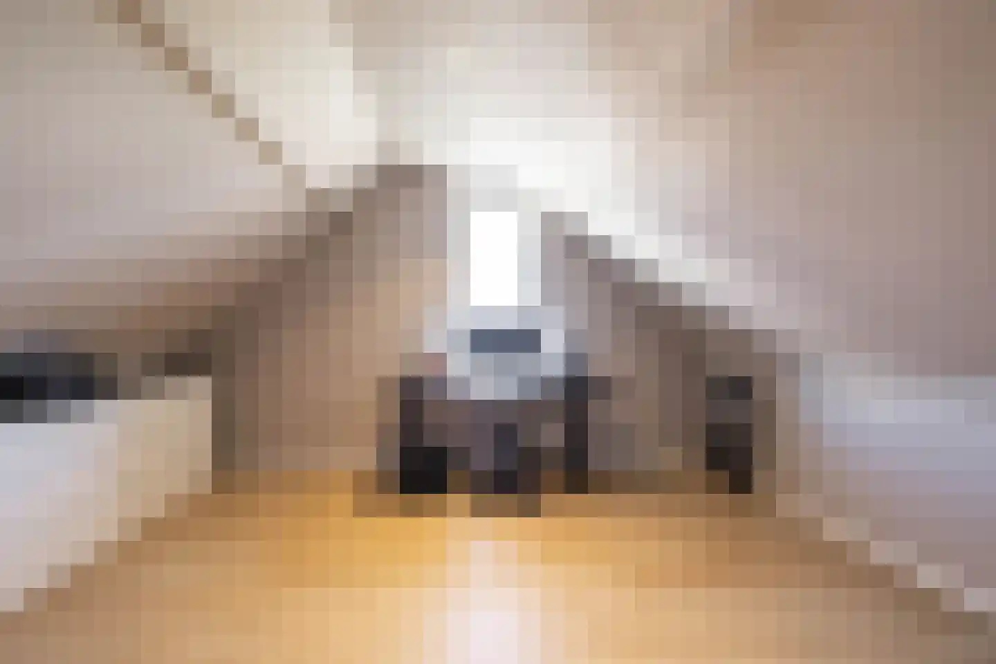 IJzerwerker 22 Sappemeer thumbnail 51