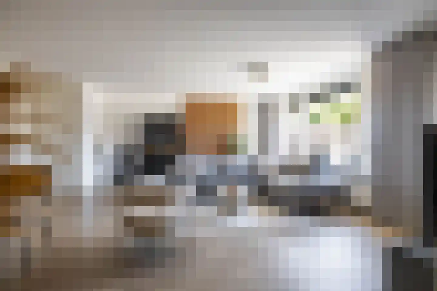 IJzerwerker 22 Sappemeer thumbnail 9