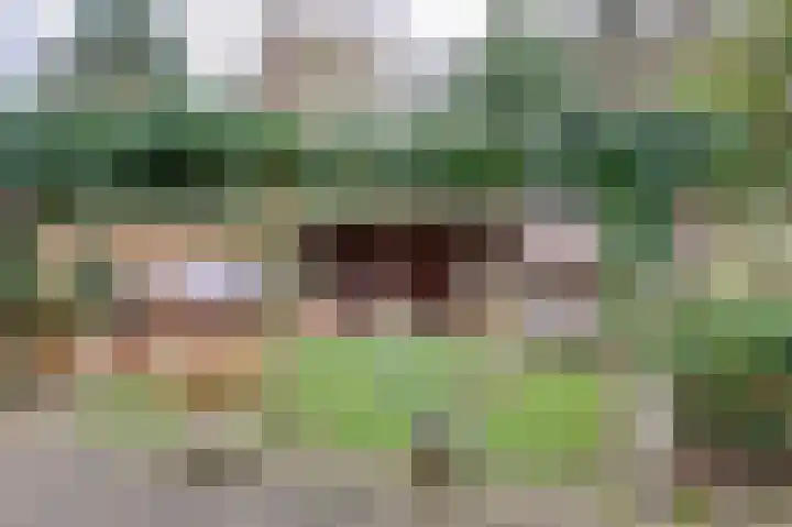 IJzerwerker 49 Sappemeer thumbnail 10