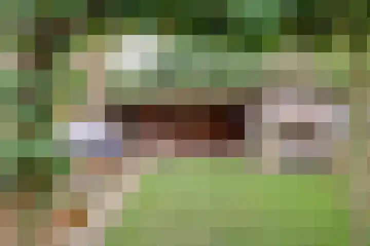 IJzerwerker 49 Sappemeer thumbnail 11