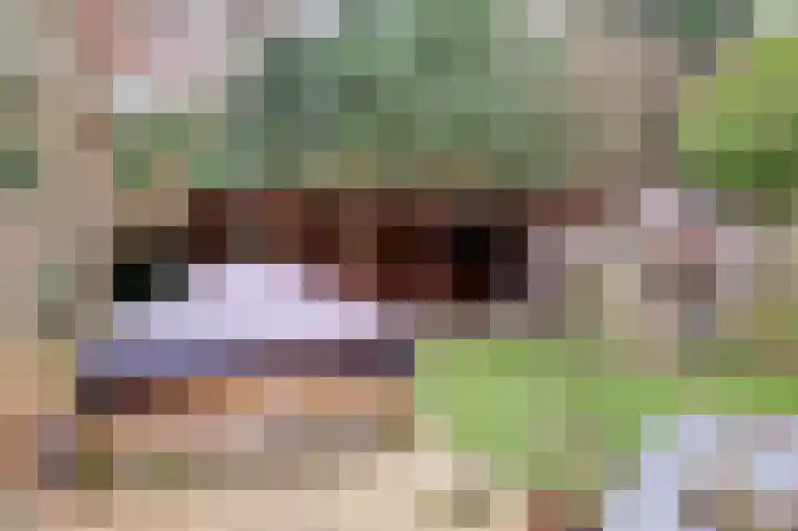 IJzerwerker 49 Sappemeer thumbnail 12