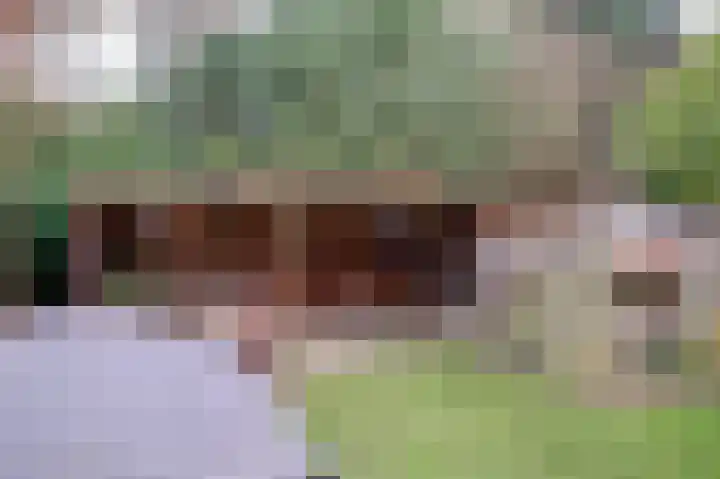 IJzerwerker 49 Sappemeer thumbnail 13