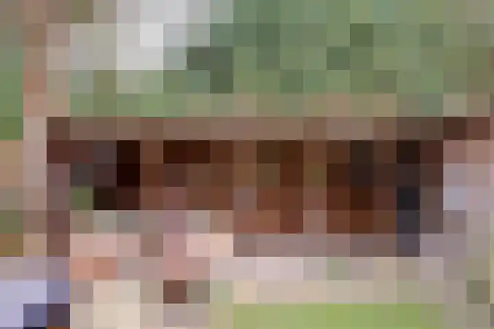 IJzerwerker 49 Sappemeer thumbnail 14