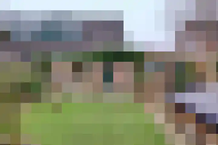 IJzerwerker 49 Sappemeer thumbnail 16
