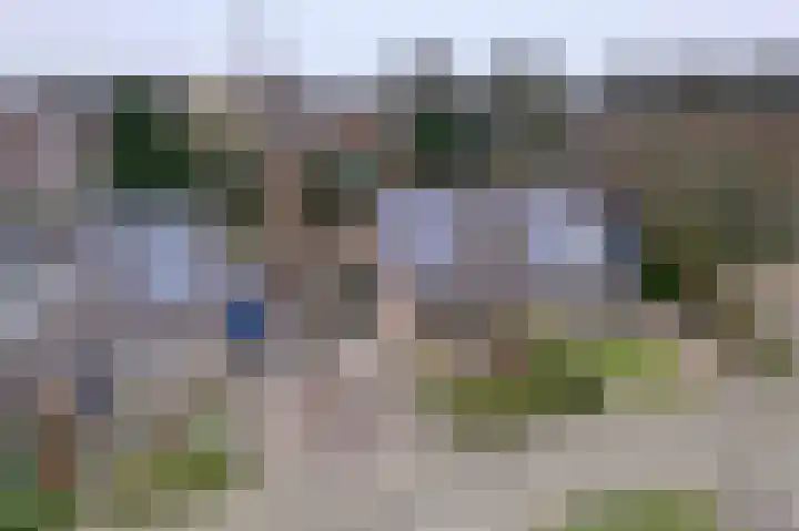 IJzerwerker 49 Sappemeer foto 2