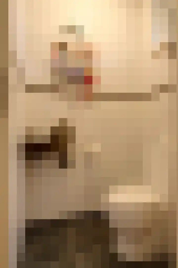 IJzerwerker 49 Sappemeer thumbnail 20