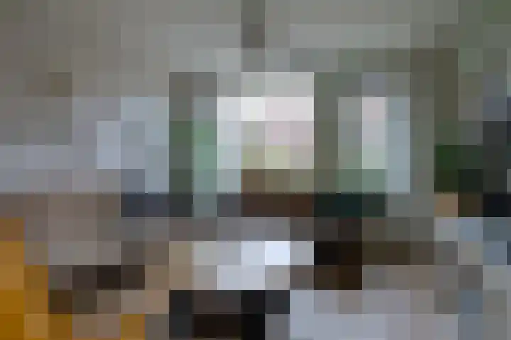 IJzerwerker 49 Sappemeer thumbnail 22