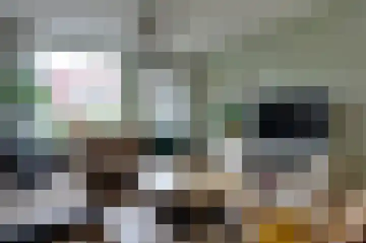 IJzerwerker 49 Sappemeer thumbnail 23