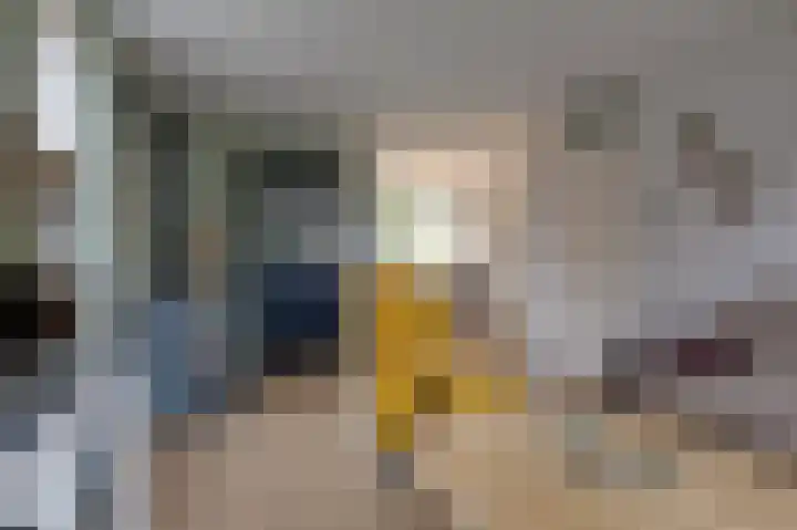 IJzerwerker 49 Sappemeer thumbnail 24