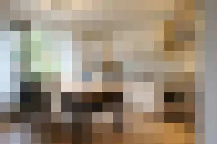 IJzerwerker 49 Sappemeer thumbnail 27