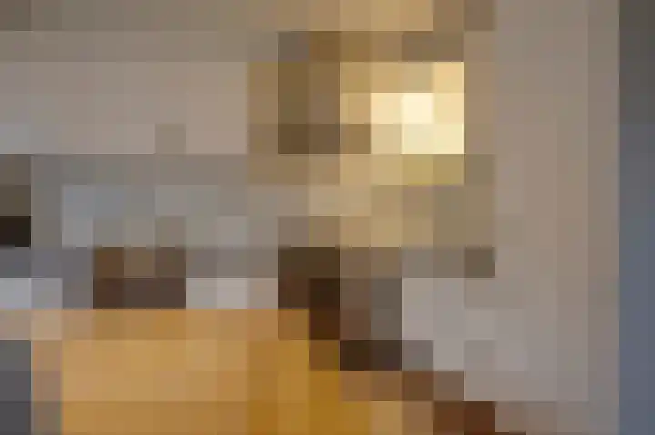 IJzerwerker 49 Sappemeer thumbnail 28
