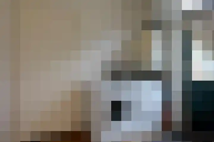 IJzerwerker 49 Sappemeer thumbnail 30
