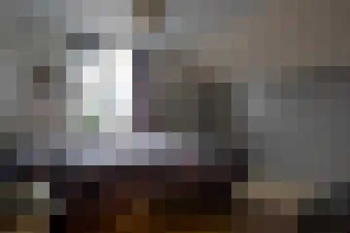 IJzerwerker 49 Sappemeer thumbnail 32