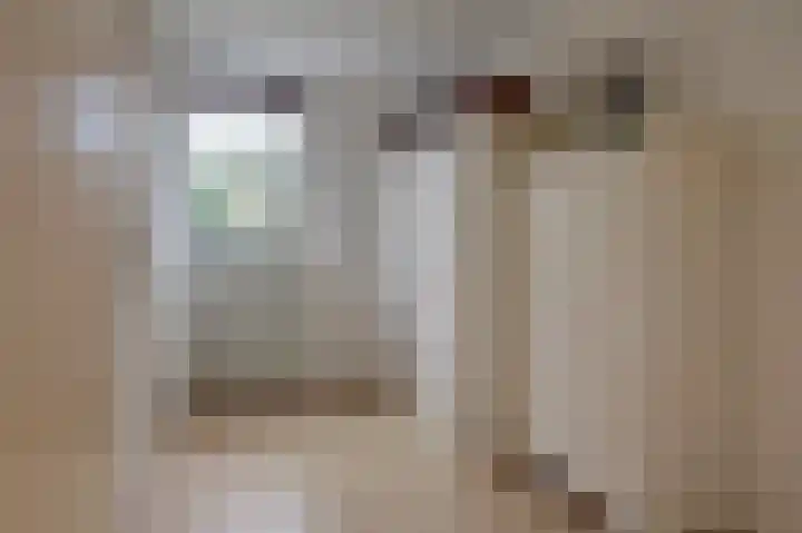 IJzerwerker 49 Sappemeer thumbnail 35