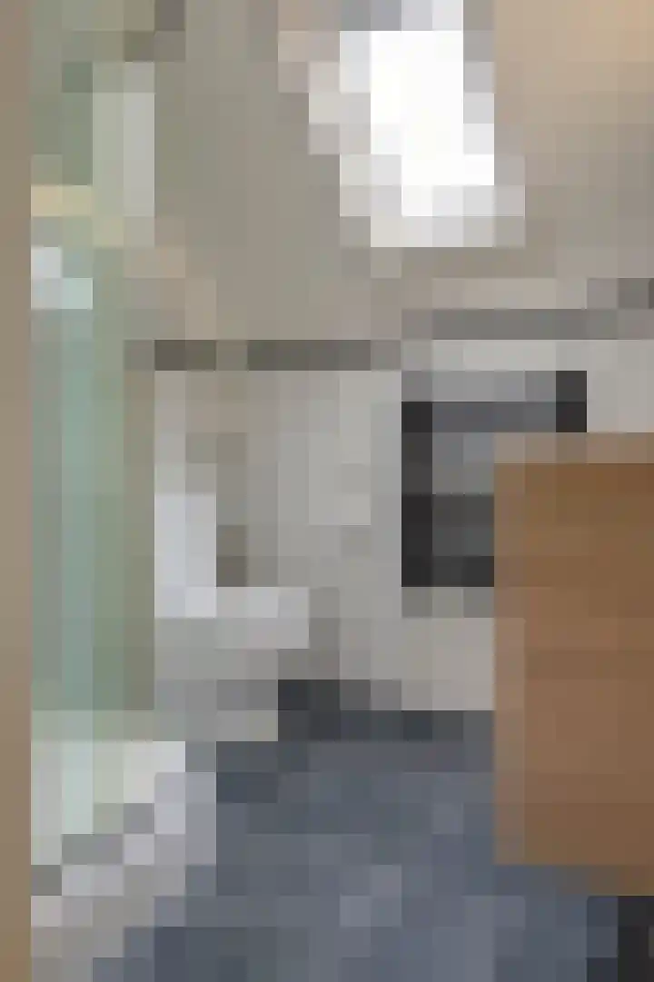 IJzerwerker 49 Sappemeer thumbnail 36
