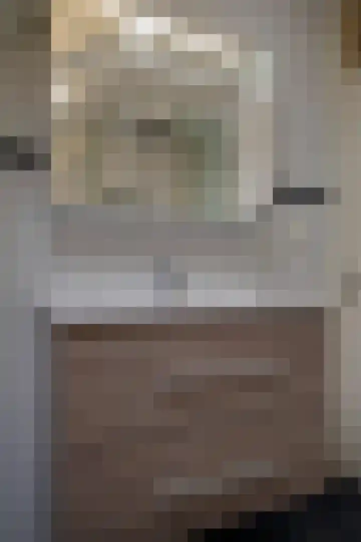 IJzerwerker 49 Sappemeer thumbnail 37
