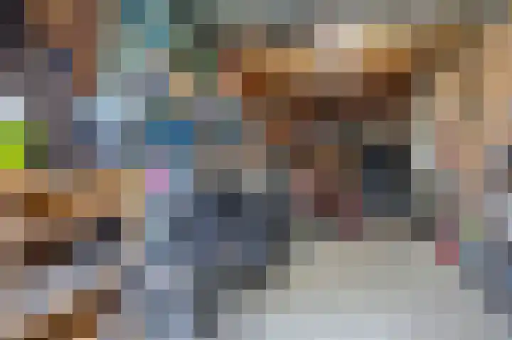 IJzerwerker 49 Sappemeer thumbnail 38