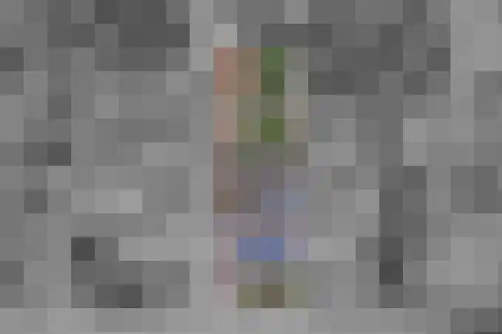 IJzerwerker 49 Sappemeer thumbnail 4
