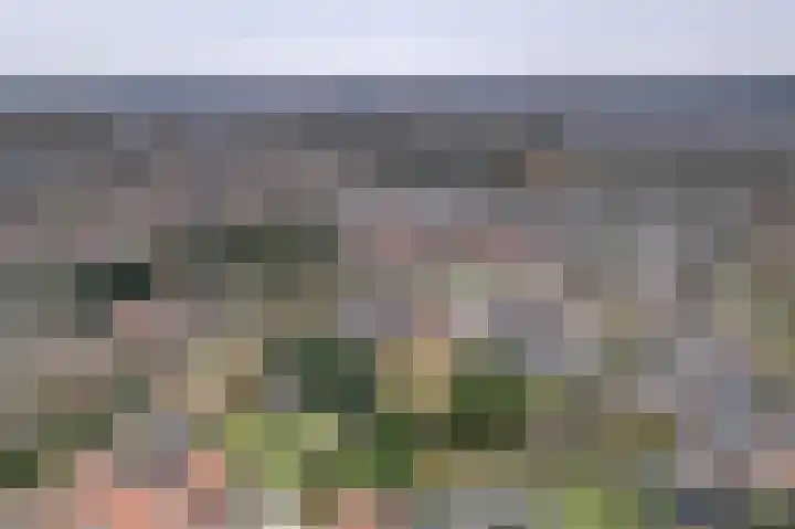 IJzerwerker 49 Sappemeer thumbnail 8