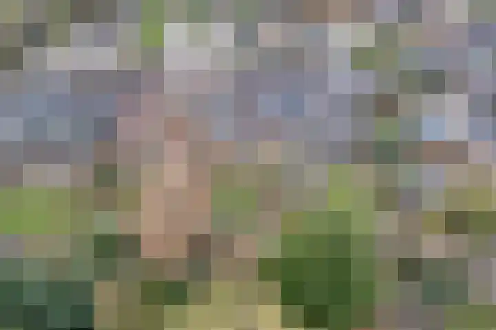 IJzerwerker 49 Sappemeer thumbnail 9