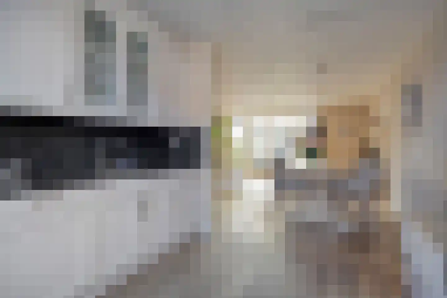 IJzerwerker 6 Sappemeer thumbnail 11