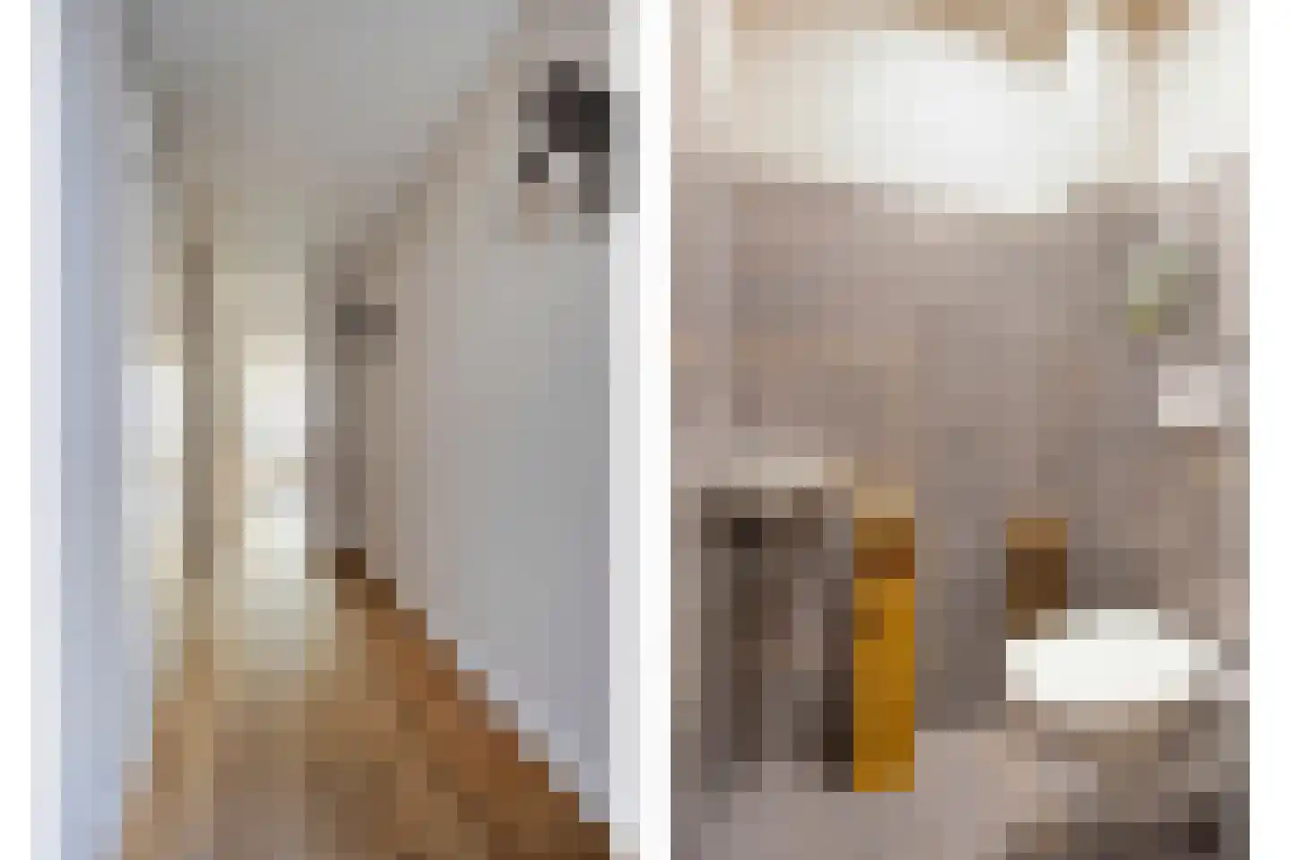 IJzerwerker 6 Sappemeer thumbnail 13